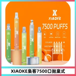 XIAOKE梟客7500Puffs跑馬燈拋棄式電子煙 可發光一次性